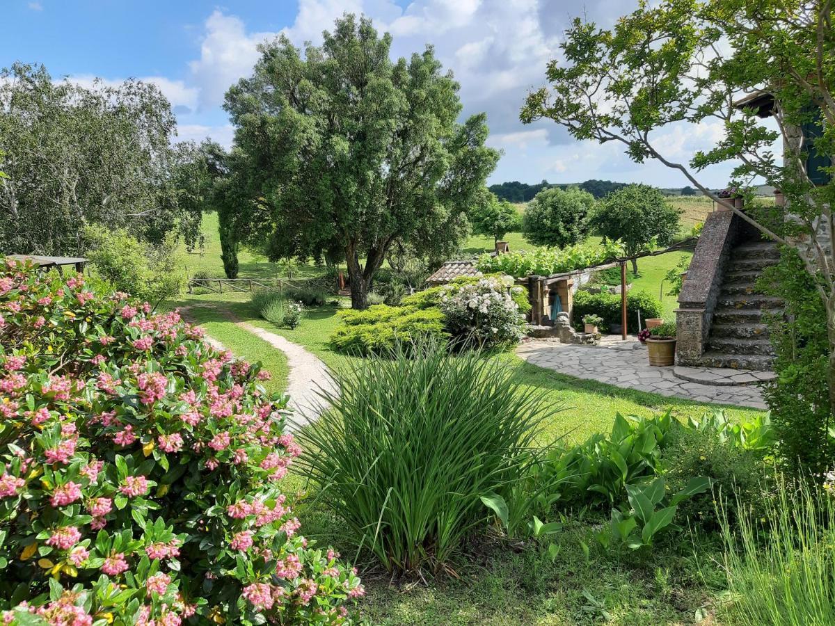 Agriturismo Cantinaccia Di Sopra بيتيجليانو المظهر الخارجي الصورة