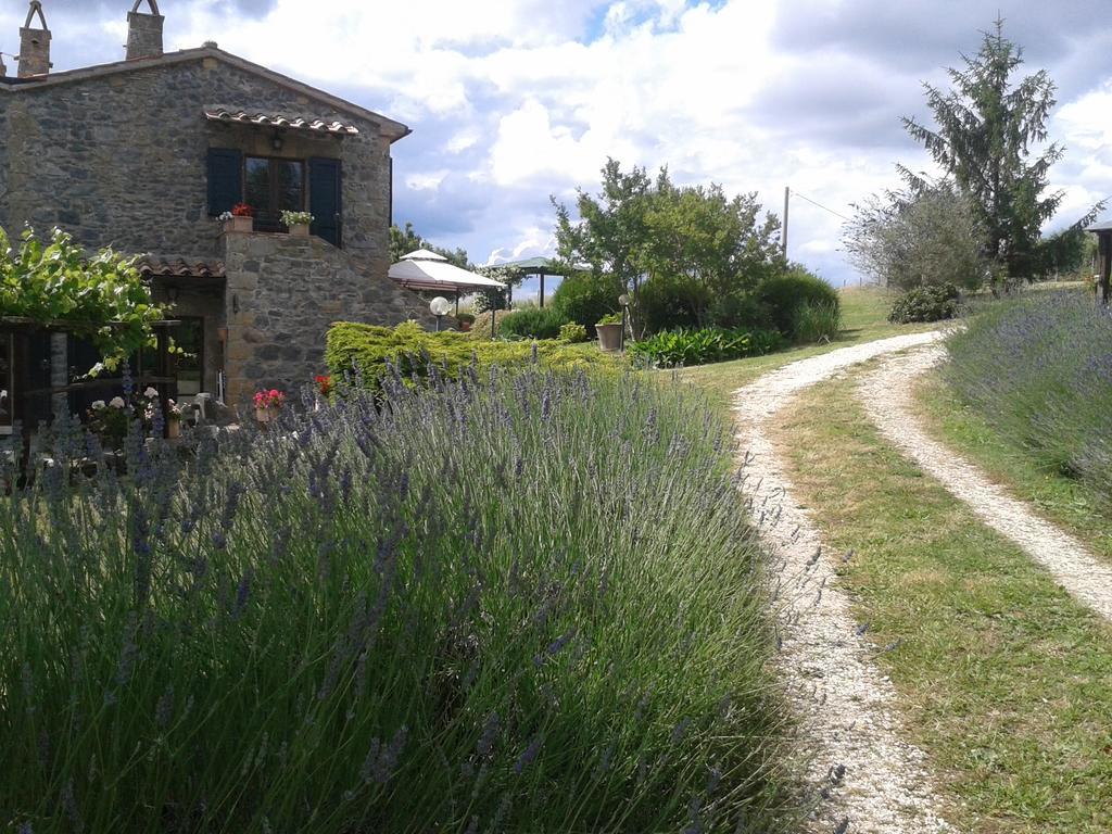 Agriturismo Cantinaccia Di Sopra بيتيجليانو المظهر الخارجي الصورة