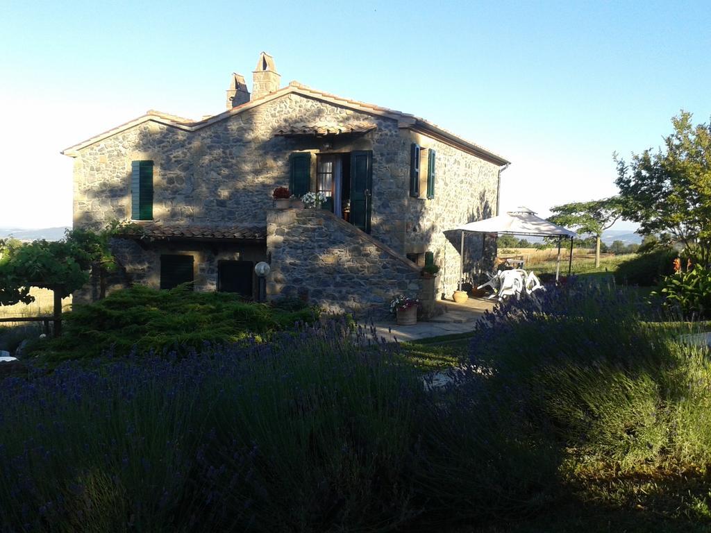 Agriturismo Cantinaccia Di Sopra بيتيجليانو المظهر الخارجي الصورة