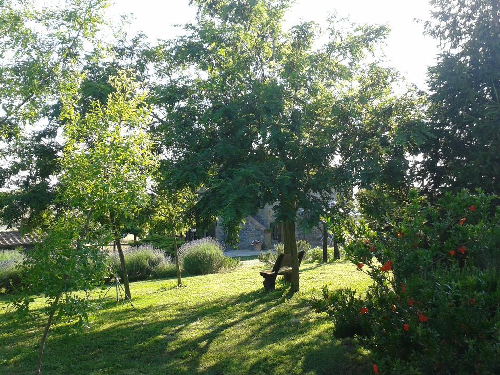 Agriturismo Cantinaccia Di Sopra بيتيجليانو المظهر الخارجي الصورة